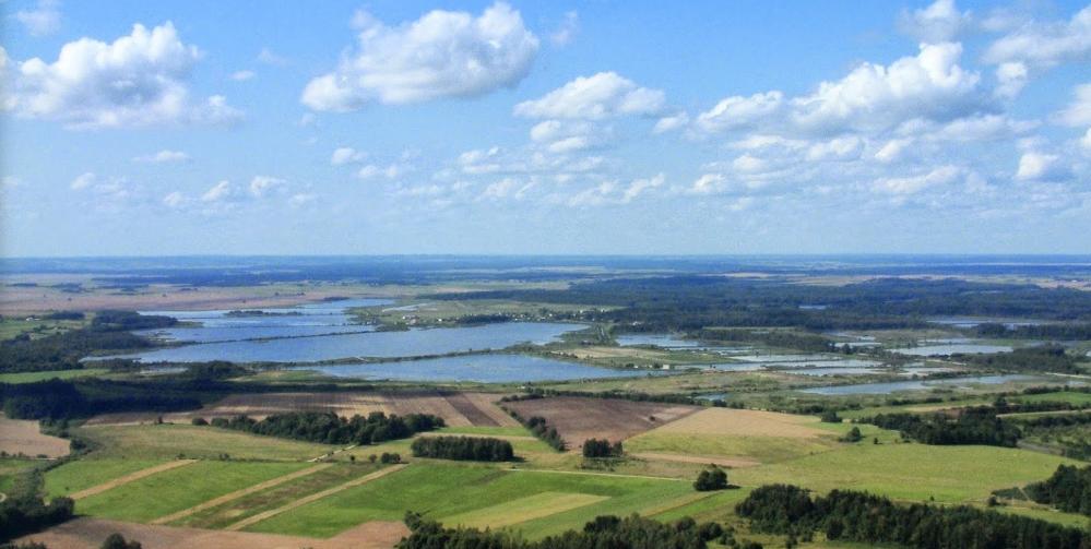 UAB "Silo Pavėžupis"