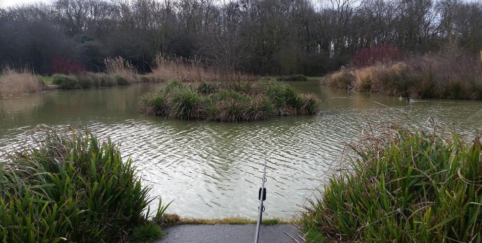 Puddledock Farm Fishery