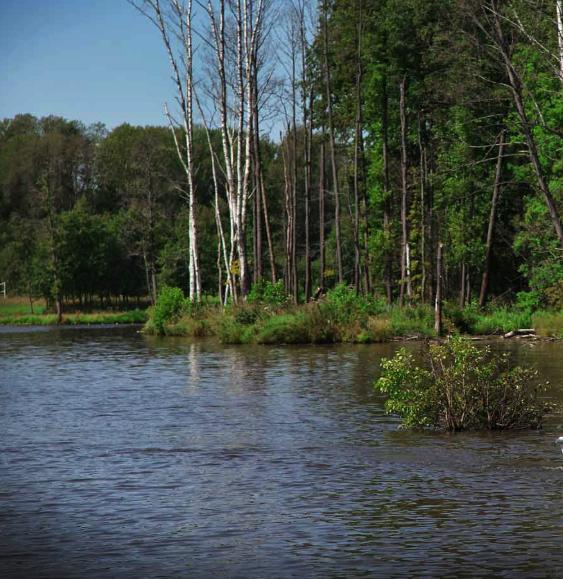 Сафари Паркъ