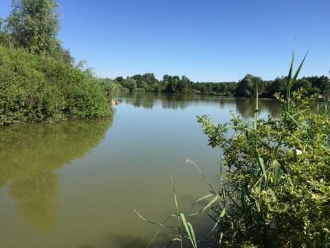 L'étang du petit moulin