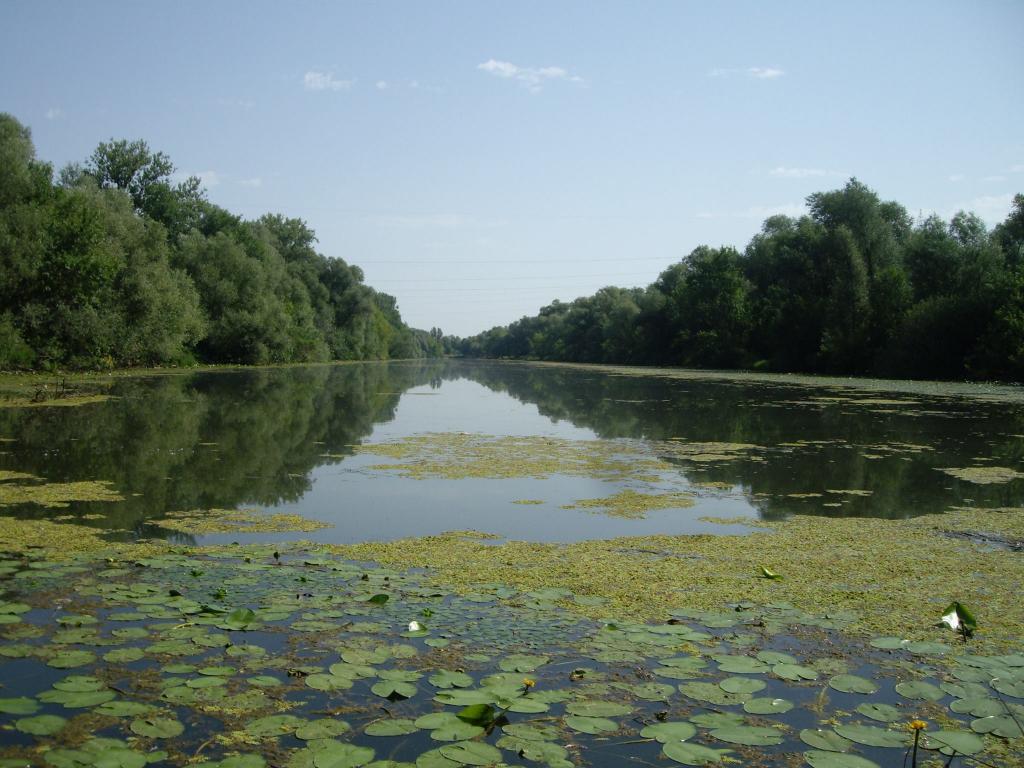 Hesova Graba, Sisak