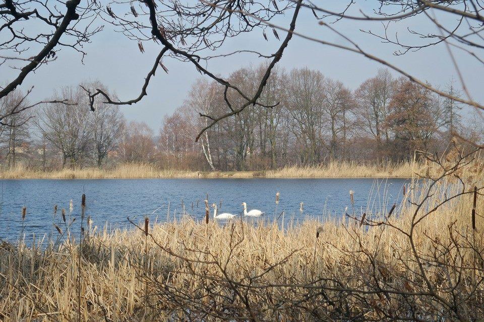 Łowisko Pstrążna