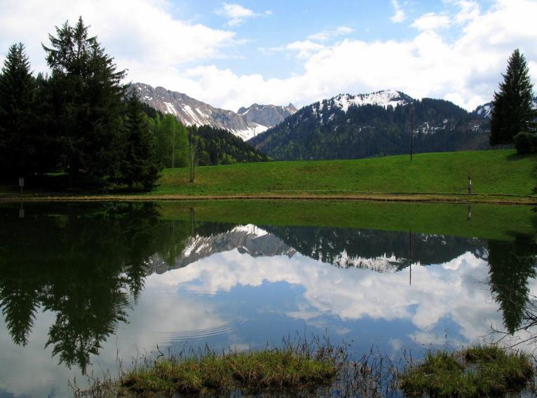 Amt für Wald und Natur WNA