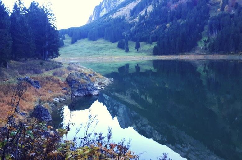 Amt für Natur, Jagd und Fischerei