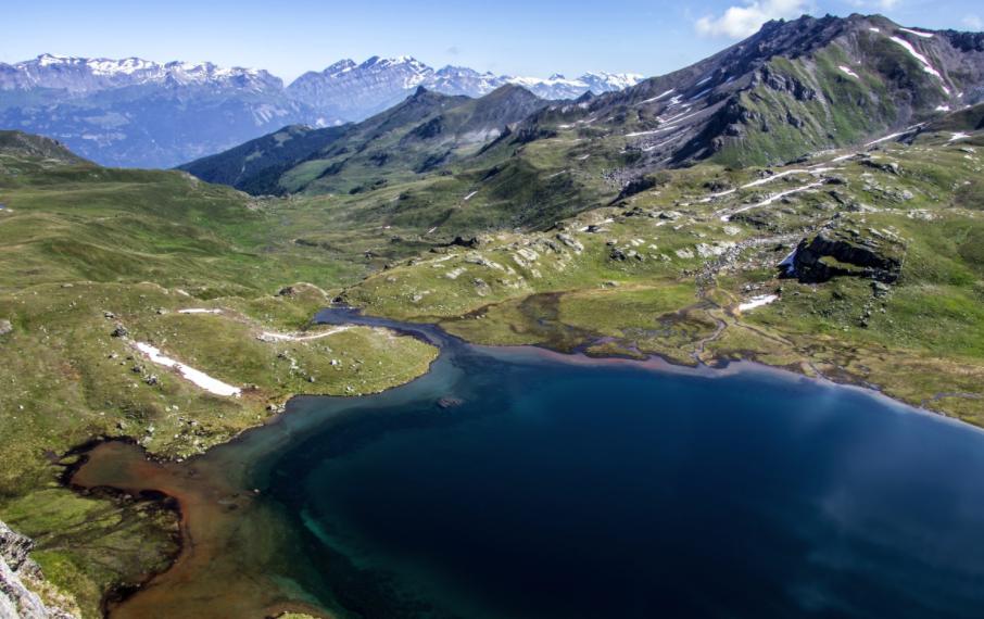 Dienststelle für Jagd, Fischerei und Wildtiere