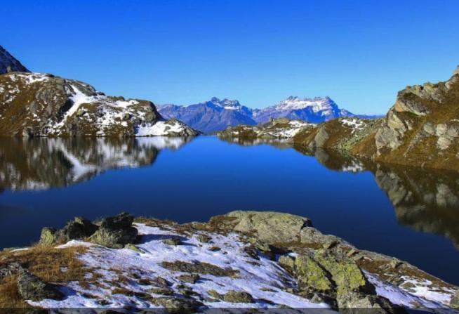 Dienststelle für Jagd, Fischerei und Wildtiere