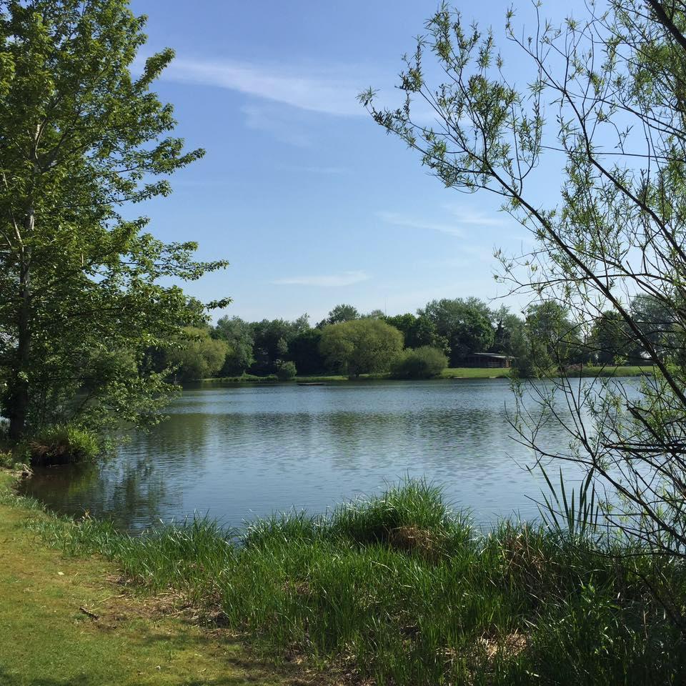 Chigborough Farm and Fishery