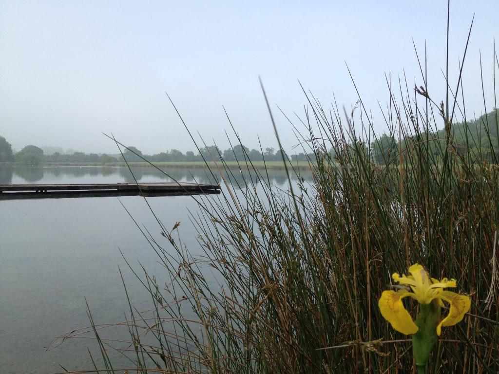 Lechlade and Bushyleaze Trout Fisheries