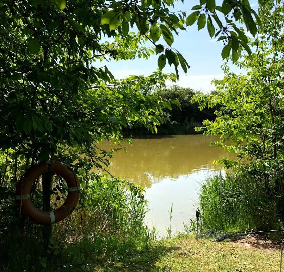 Virginia Lake Caravan Park