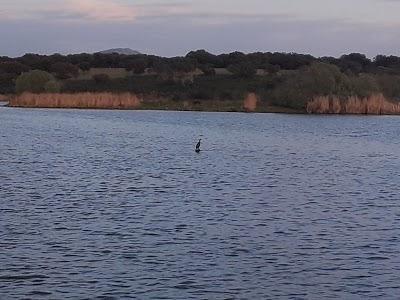 Embalse de Acehuche