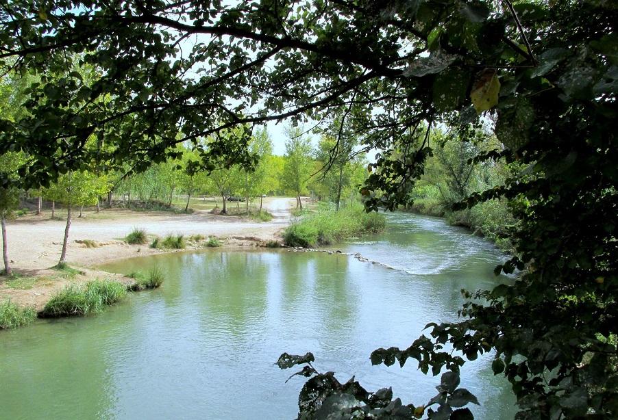 Coto el Pontón (Río Turia)