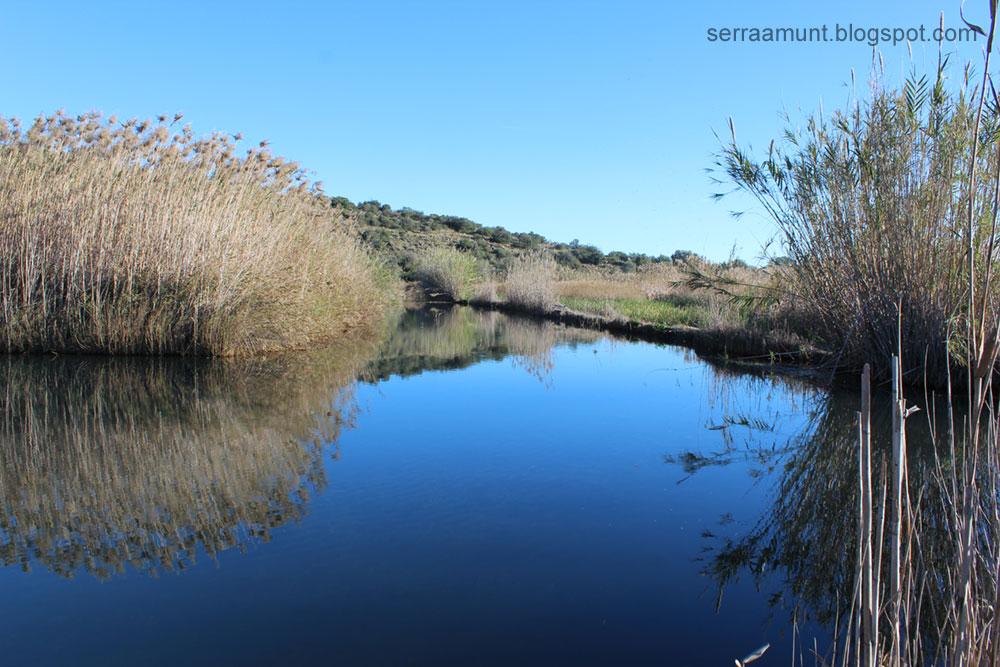 Coto Bullent (Río Bullent)