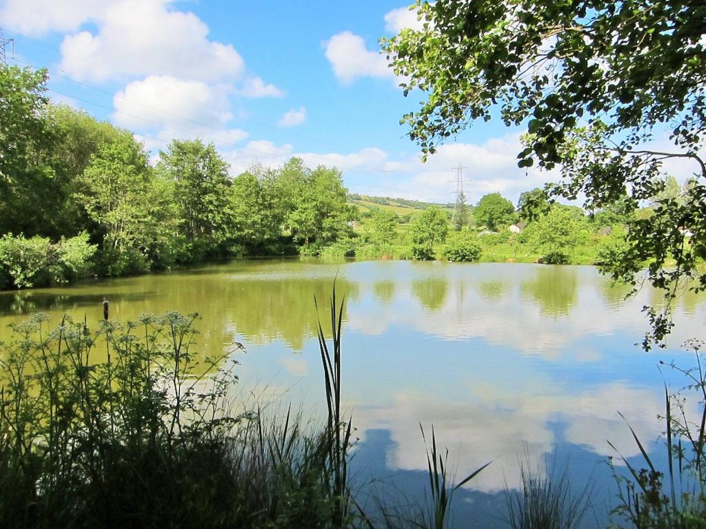 Four Ponds Fishery