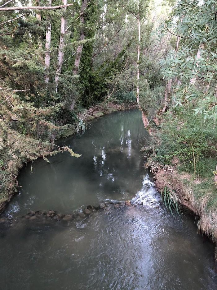 Coto Brihuega (Rio Tajuña)