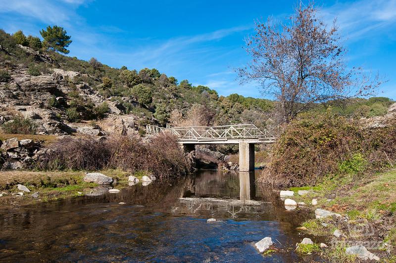 Coto Santa Maria Alameda II (Rio Aceña)