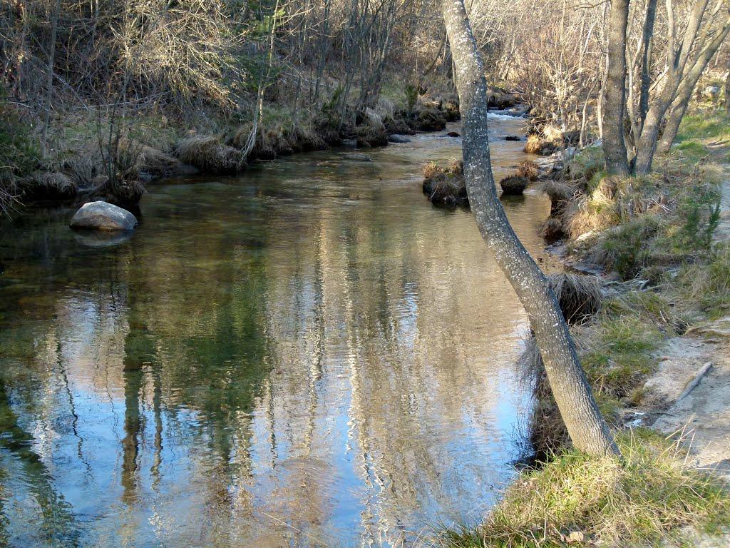 Coto Manzanares (Rio Manzanares)