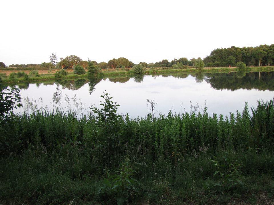 Billingford Fishing Lakes