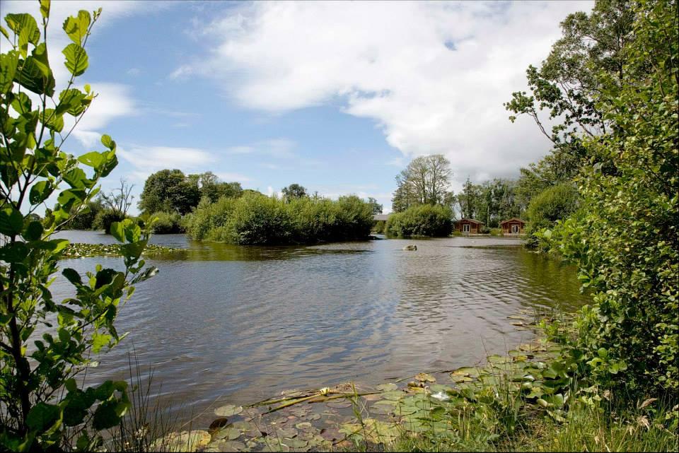 Bron Eifion Fishing Lakes & Lodges