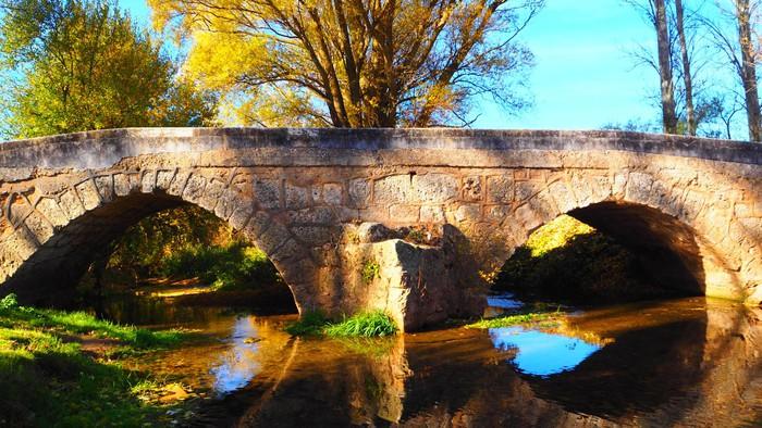 Coto Albillos (Rio de los Ausines)