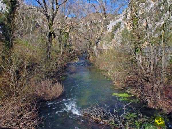 Coto Embalse de Alba (Rio Oca)