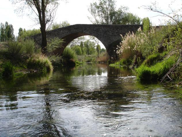 AREC Peñalara (Rio Aarandilla)