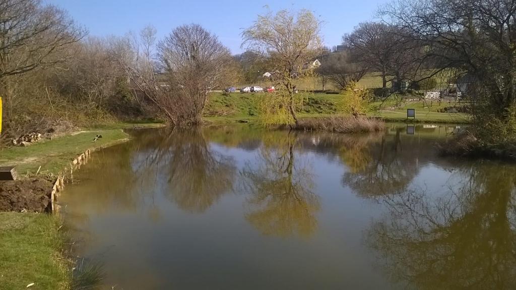 Tan-y-Mynydd Trout Fishery