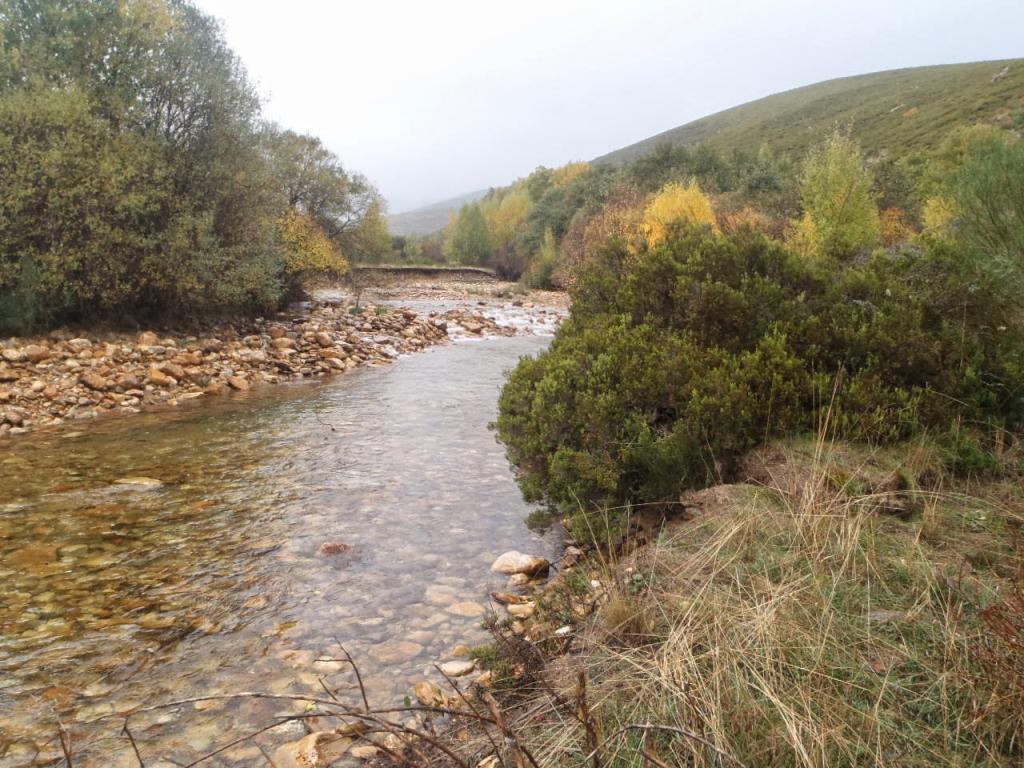 Coto Manzaneda (Rio Eria)