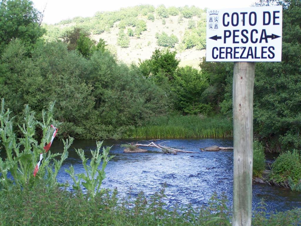 Coto Cerezales (Río Porma)