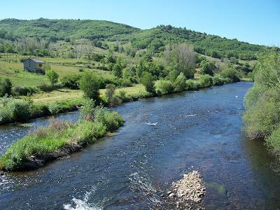 Coto Vegaquemada (Rio Porma)