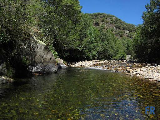 Coto Villafranca (Rio Burbia)