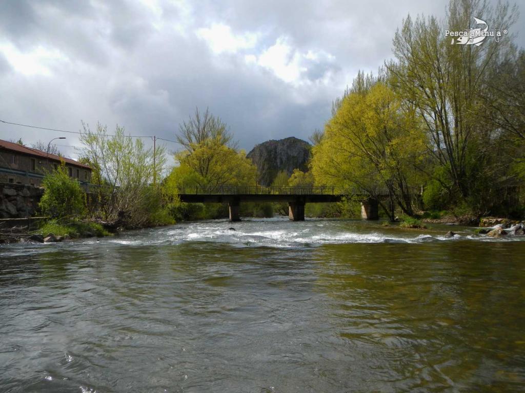 Coto Villafeliz (Rio Luna)