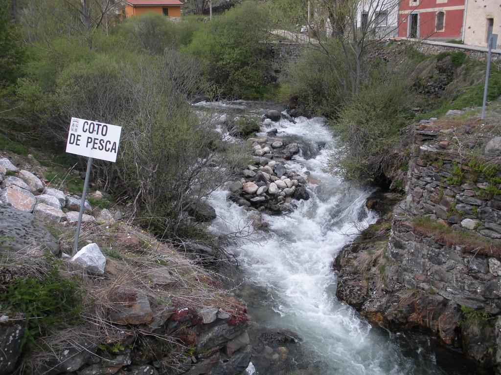 Coto Cardaño (Río Cardaño)