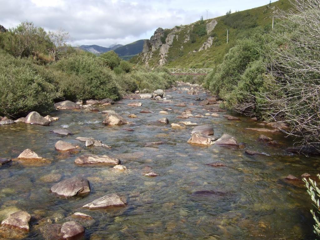 AREC Vidrieros (Río Carrión)