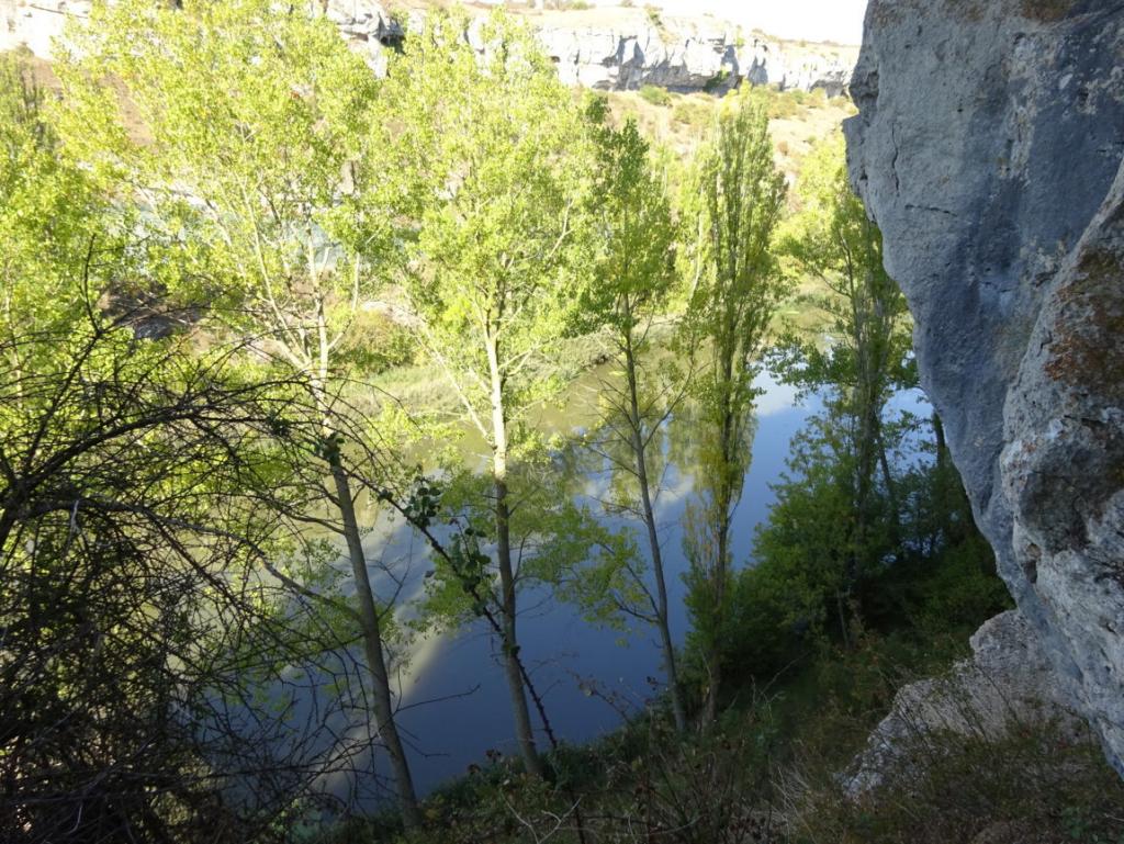 AREC La Horadada (Río Pisuerga)