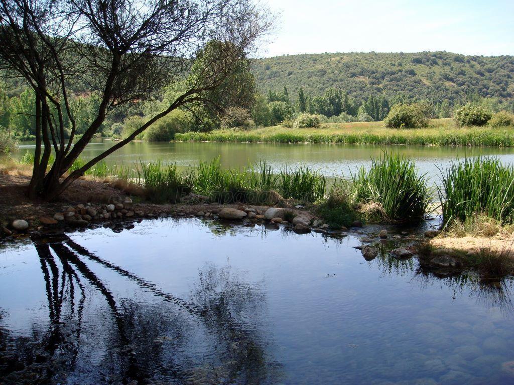 AREC Nogales (Rio Pisuerga)