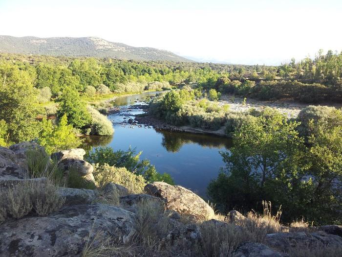 Coto Alba de Tormes (Río Tormes)