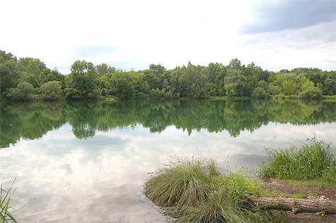 Grundwasserseen Traismauer