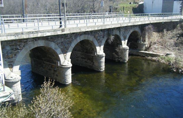 Coto Mercado Puente (Río Tera)