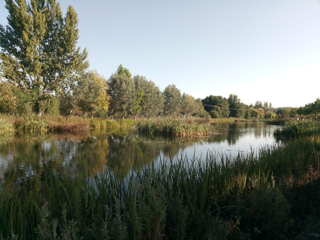 AREC Calzadillas (Río Tera)