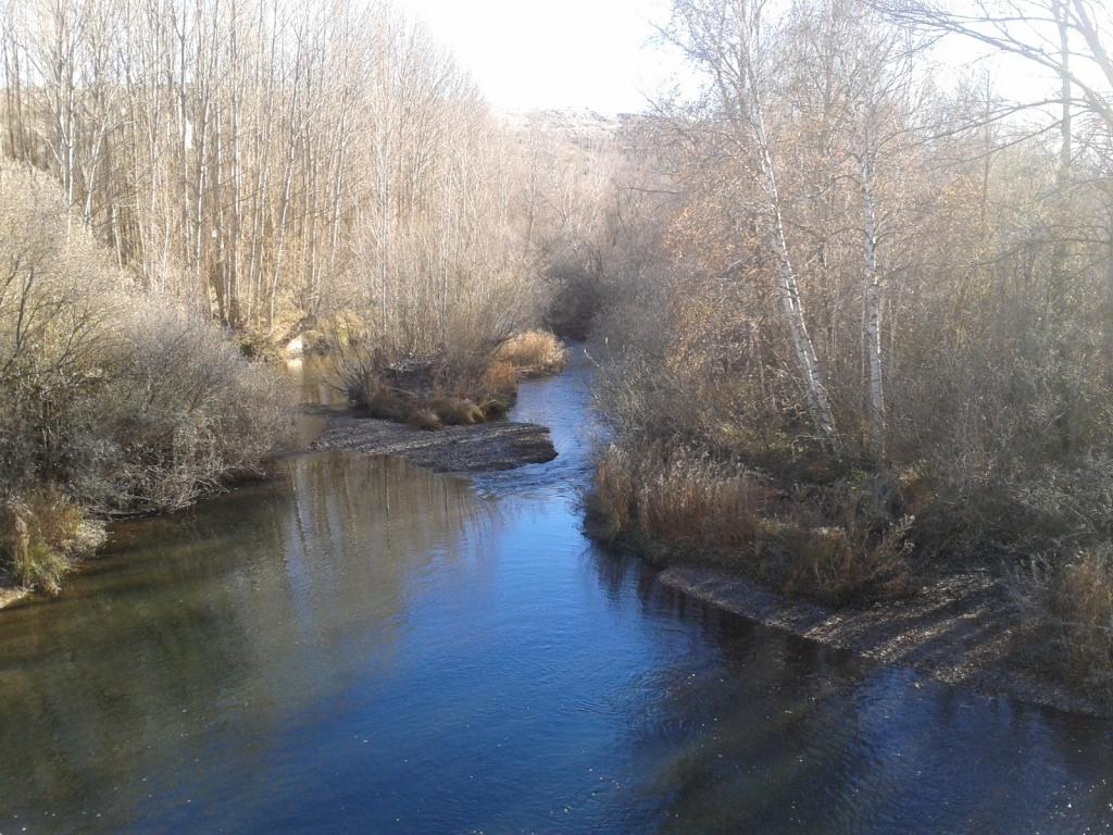 AREC Desembocadura del Tera