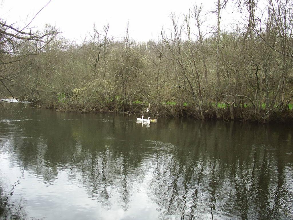 AREC Galende (Río Tera)