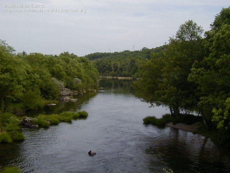 AREC Puebla de Sanabria (Río Tera)