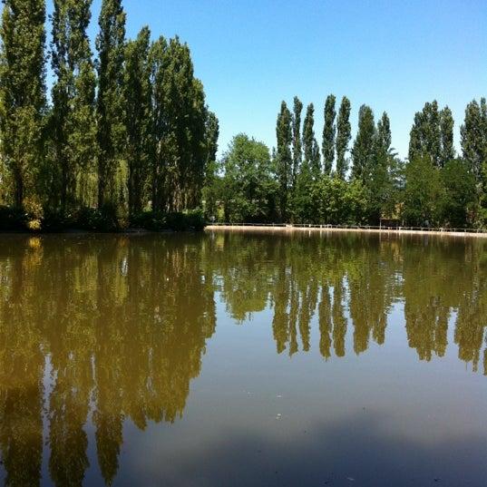 Lago Mola Solis