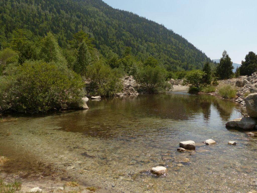 Coto Montañana (Río Noguera Ribagorcana)