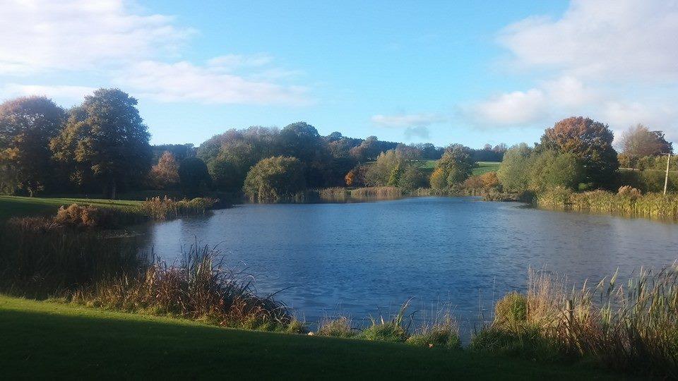 Kingfisher Trout Lake