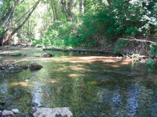 Coto Villel (Río Turia)