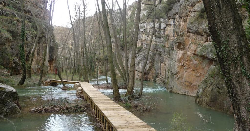 Coto Teruel (Río Guadalaviar)