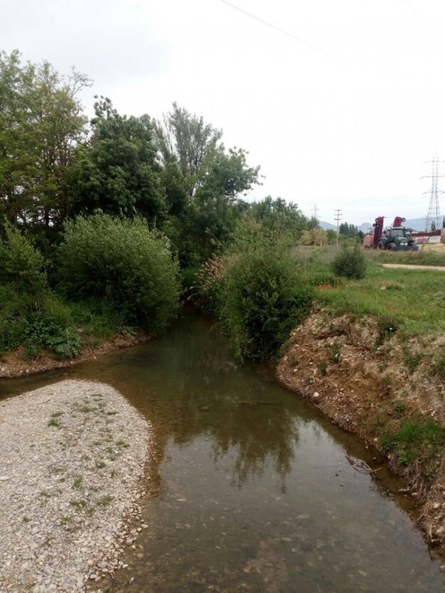 Coto de Captura y suelta Río Isuela