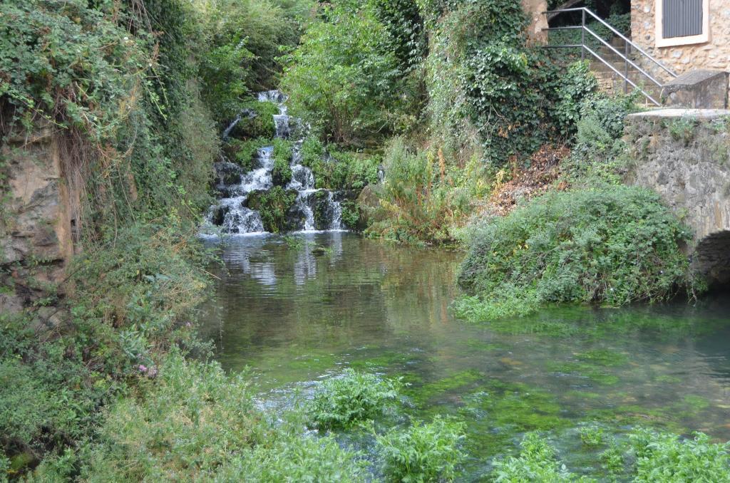 Coto de captura y suelta Río Queiles