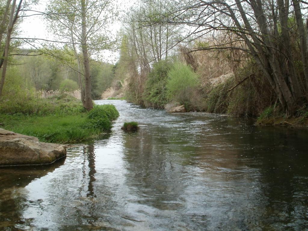 Coto Cardona